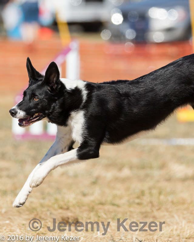 20160619-cckc-1807.jpg