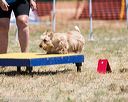 20160619-cckc-0872