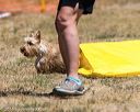 20160619-cckc-0874