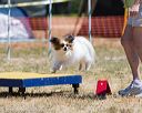 20160619-cckc-0875