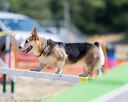 20160619-cckc-0880