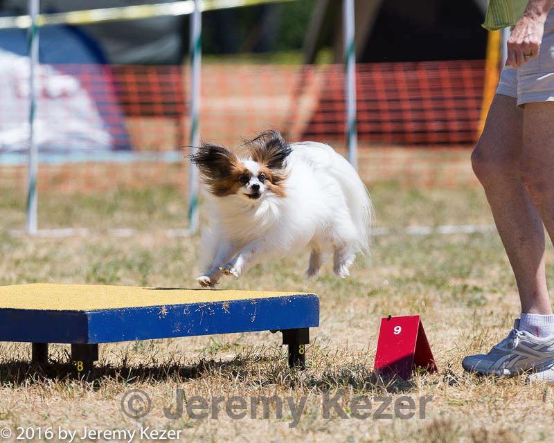 20160619-cckc-0875.jpg