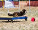 20160619-cckc-0884