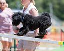 20160619-cckc-0912