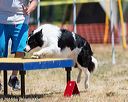 20160619-cckc-0920