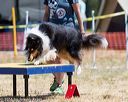 20160619-cckc-0930