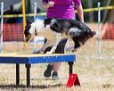 20160619-cckc-0933