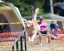 20160619-cckc-0943