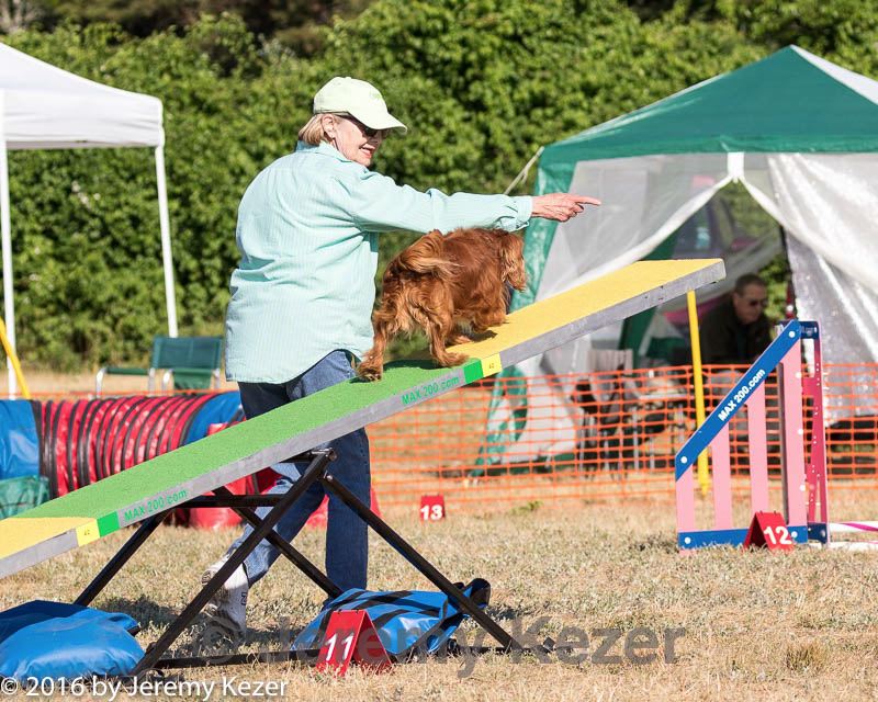 20160619-cckc-0003.jpg