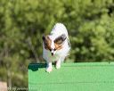 20160619-cckc-0040