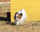 20160619-cckc-0046