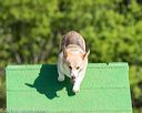 20160619-cckc-0049