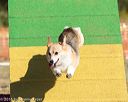 20160619-cckc-0050