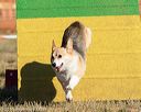 20160619-cckc-0051