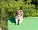20160619-cckc-0054