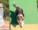 20160619-cckc-0057