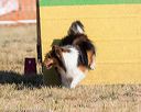 20160619-cckc-0060