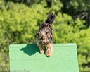 20160619-cckc-0066