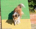 20160619-cckc-0072