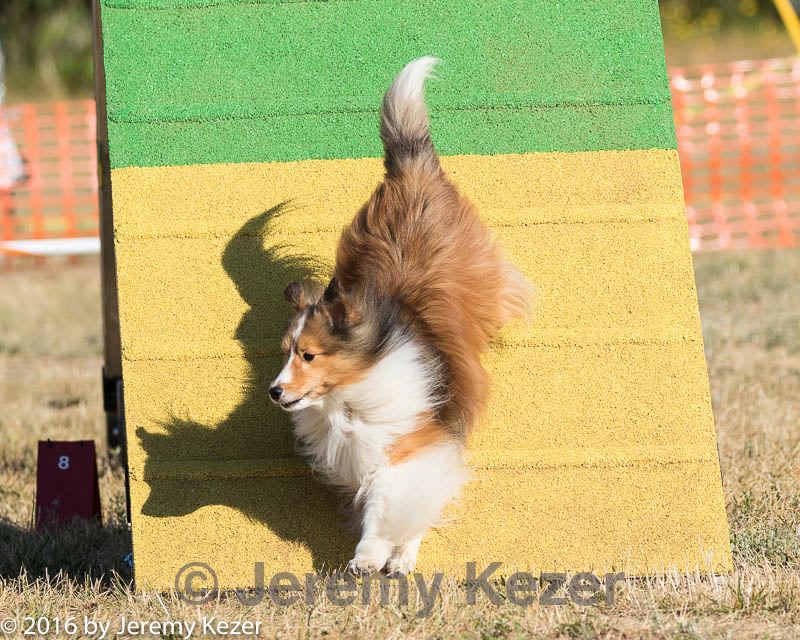 20160619-cckc-0074.jpg