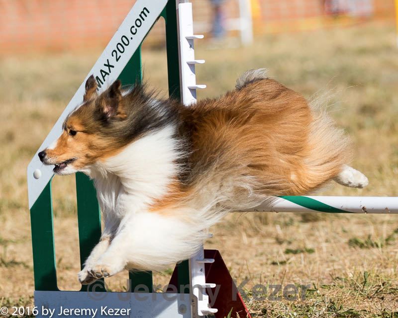 20160619-cckc-0075.jpg