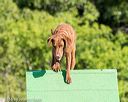 20160619-cckc-0079