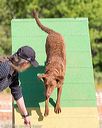 20160619-cckc-0081