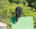 20160619-cckc-0086