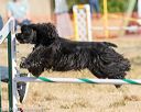 20160619-cckc-0102