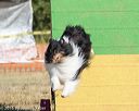 20160619-cckc-0119