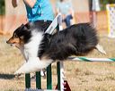 20160619-cckc-0131
