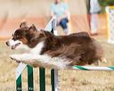 20160619-cckc-0138