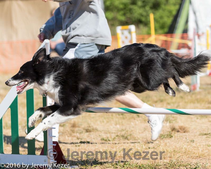 20160619-cckc-0089.jpg