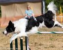 20160619-cckc-0187