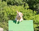 20160619-cckc-0189