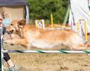 20160619-cckc-0197