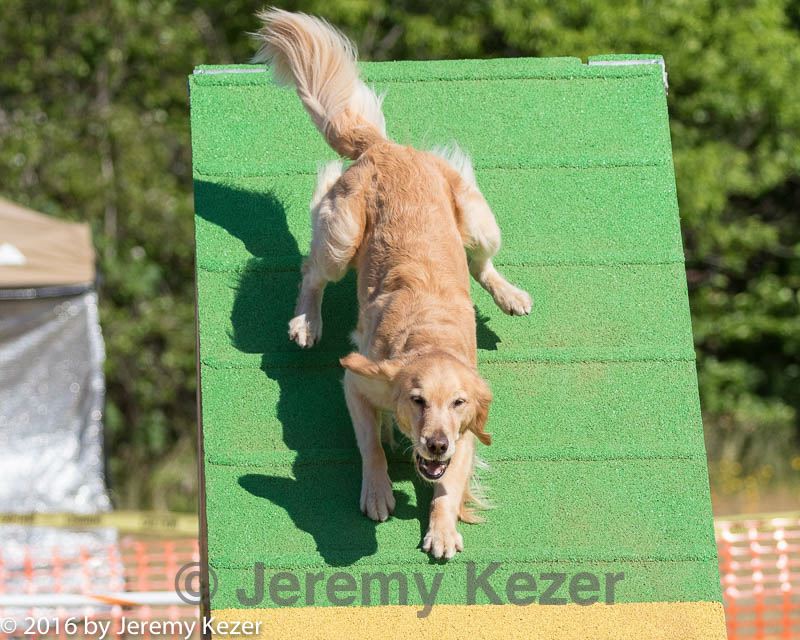 20160619-cckc-0194.jpg