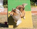 20160619-cckc-0255