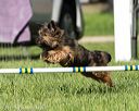 20170520-neat-2744