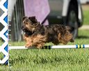20170520-neat-2745