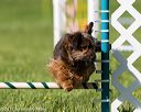 20170520-neat-2755