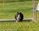 20170520-neat-2766