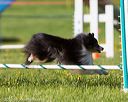 20170520-neat-2767