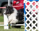 20170520-neat-2783
