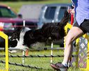 20170520-neat-2788