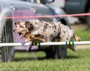 20170520-neat-2794