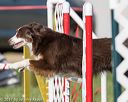 20170520-neat-2808