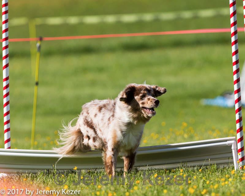 20170520-neat-2802.jpg