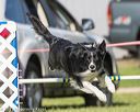 20170520-neat-2827