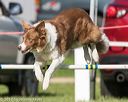 20170520-neat-2833